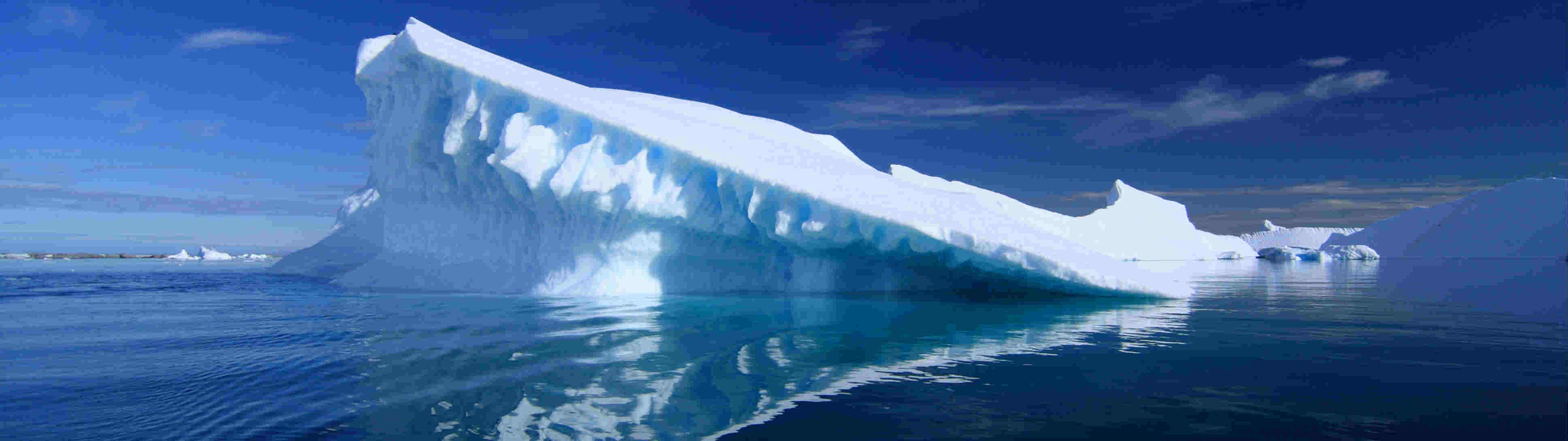 ANTARCTIC & ARCTIC TRAVELinform